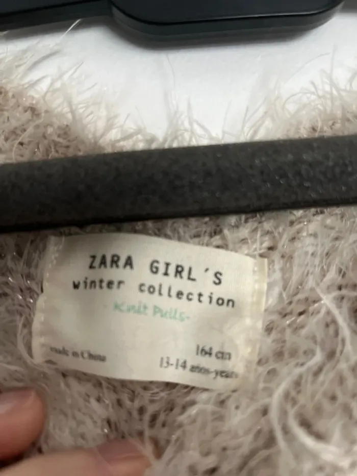 Jolie pull Zara girl - photo numéro 4