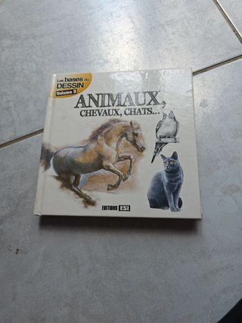 Dessiner des  animaux  #orianabllivre