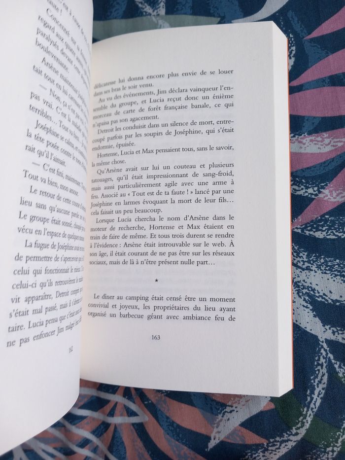 Julien Sandrel - Beaucoup de cendres et d'amour - photo numéro 5