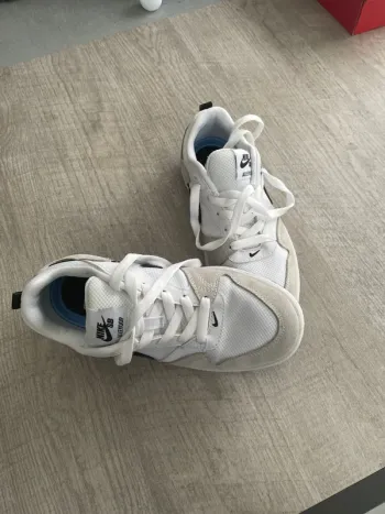 Basket Nike sb alleyoop