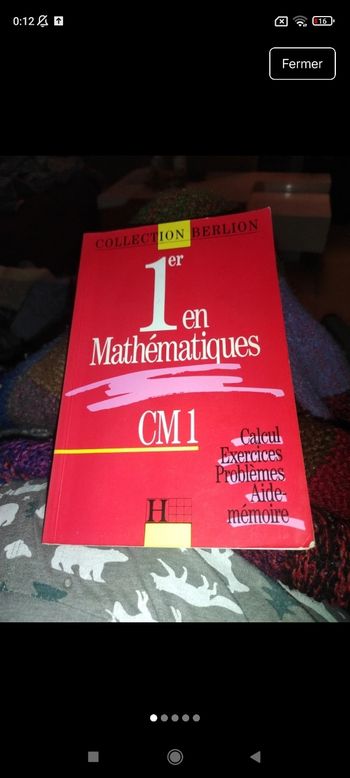 Mathématiques cm1