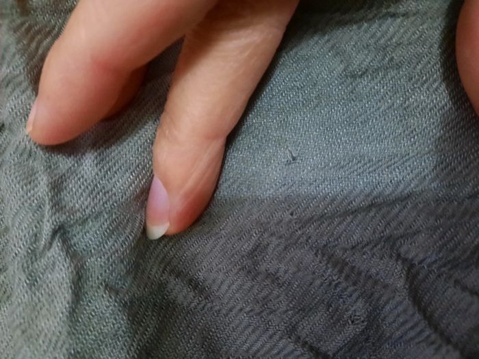 Écharpe en bon état - photo numéro 5