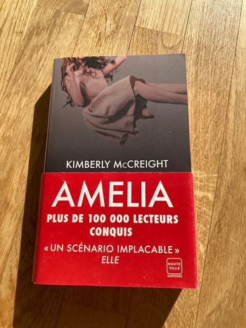 Livre Amelia de Kimberly McCreight