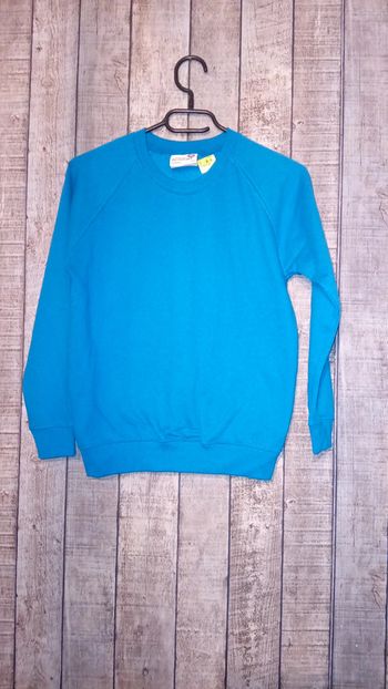 Pull bleu