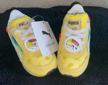 Puma bob l’éponge