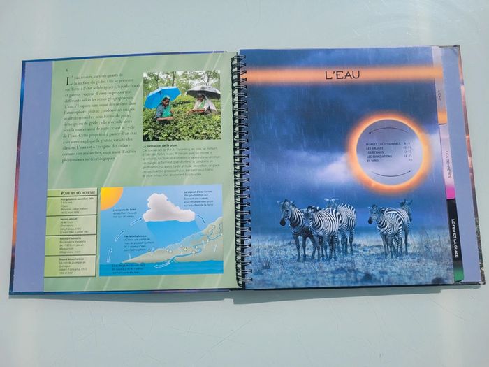 Livre Éditions Rouge et Or 🌪Les Catastrophes Naturelles 🌌 L'Oeil de l'explorateur - photo numéro 4