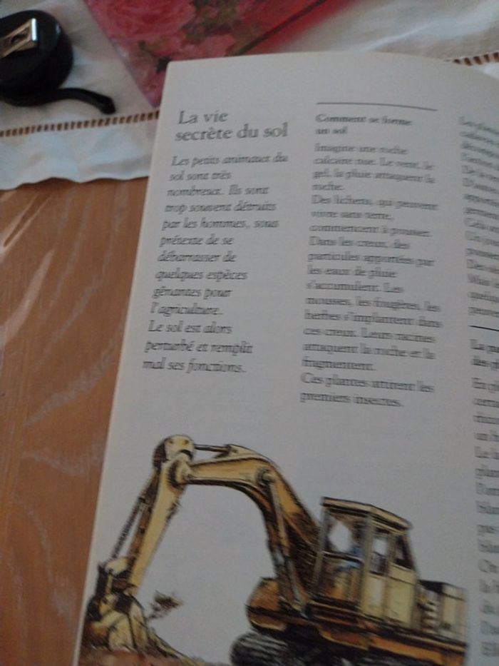 A chaque instant les petits êtres des champs - photo numéro 3