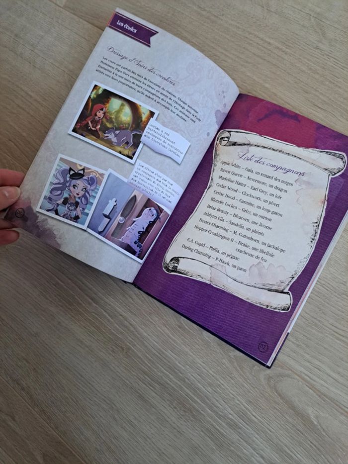 Guide ever after high - photo numéro 2