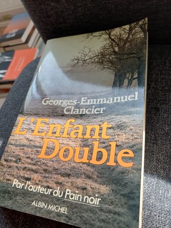 Livre L enfant double