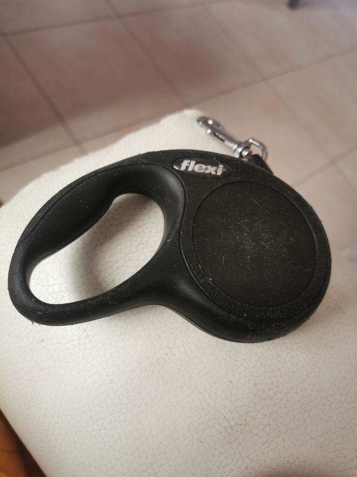 Laisse pour petits chiens Flexi retractable - photo numéro 5