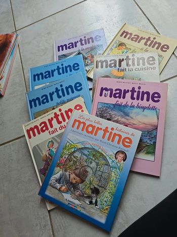 Lot 8  livre Martine  #orianabllivre