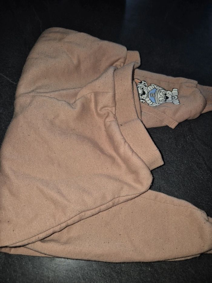 Jogging pat patrouille - photo numéro 3