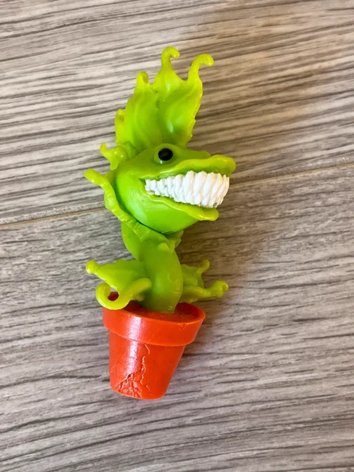 Plante monster hight - photo numéro 3