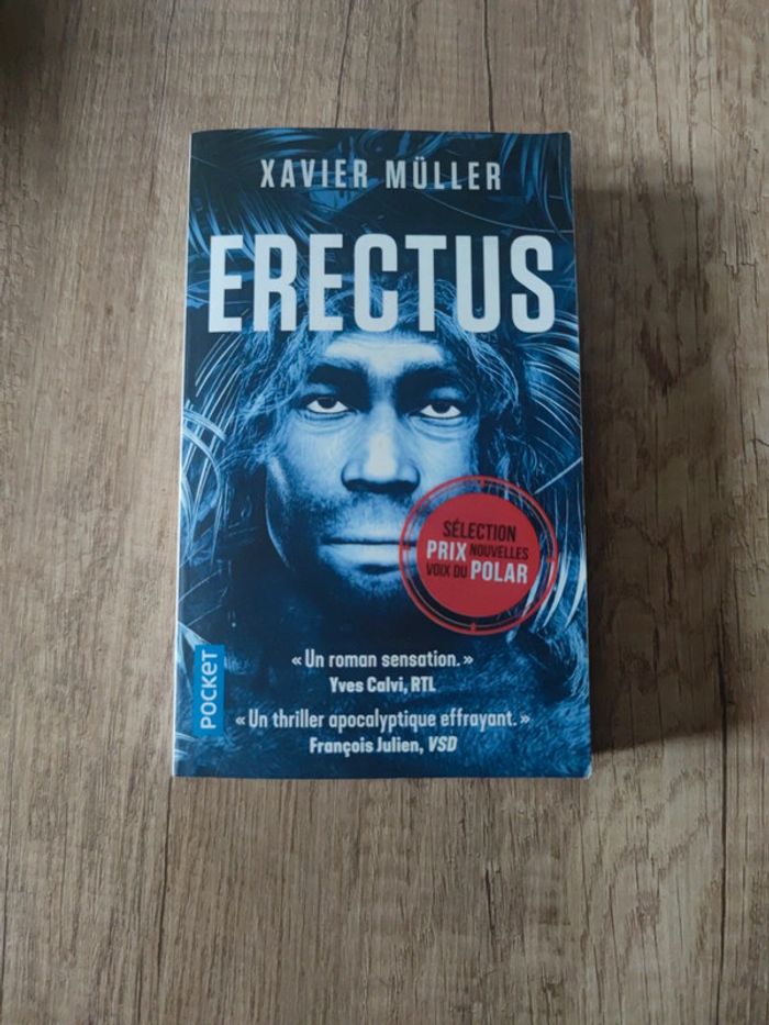 Erectus