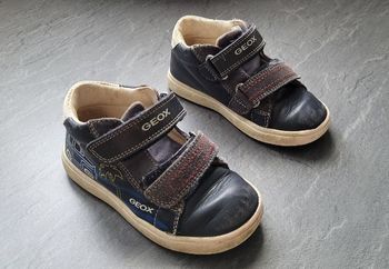 Chaussures GEOX T24