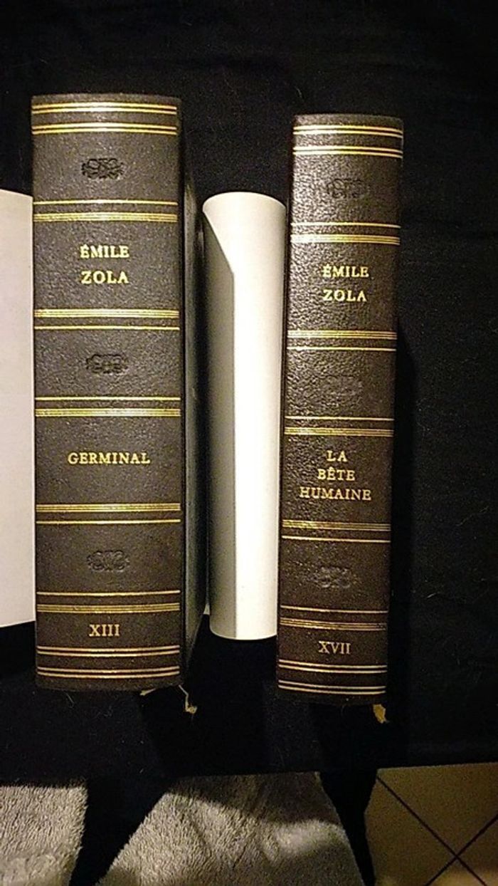 Livres Emile Zola - photo numéro 4
