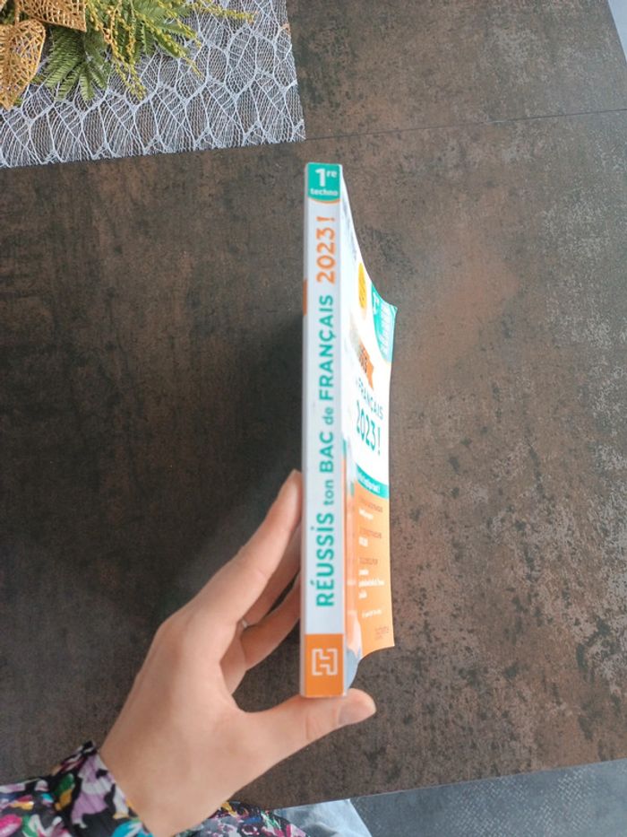 Livre bac de français - photo numéro 2