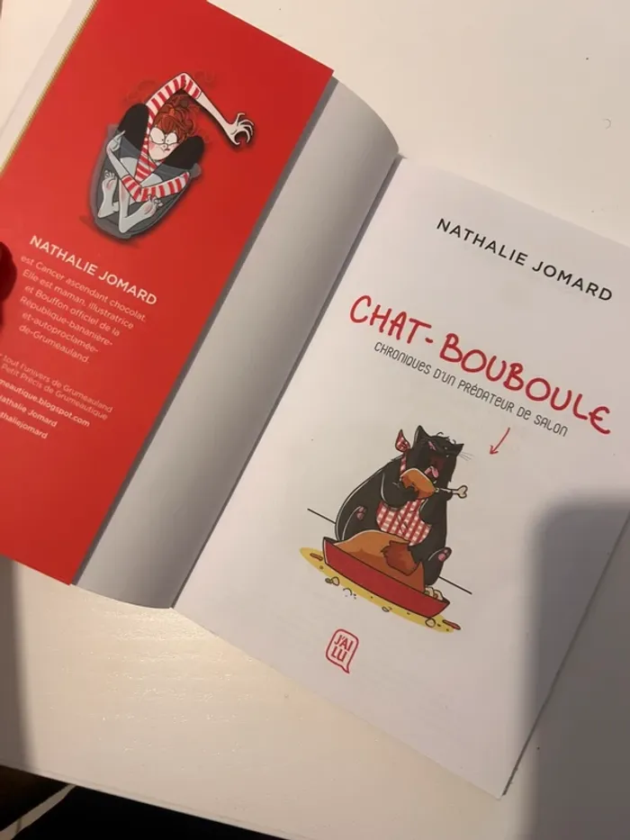 Livre Chat Bouboule - photo numéro 3