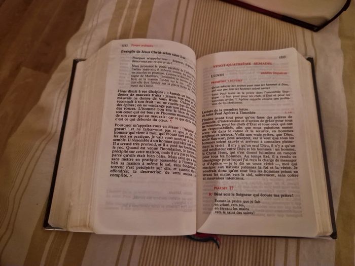 La bible et le missel de la semaine. - photo numéro 19