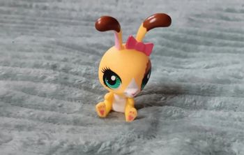 Petshop lapin 3173