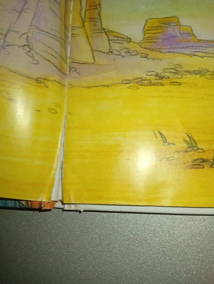 Livre Petite Indienne - photo numéro 3