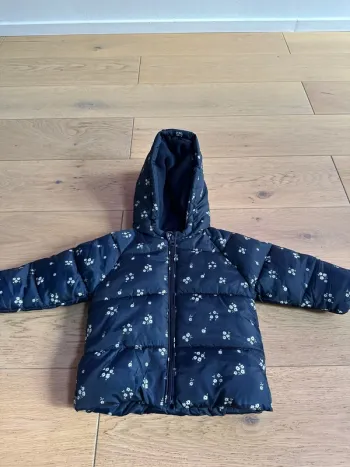 Manteau