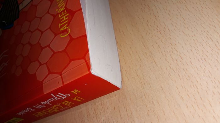 La vie moins compliquée de Maude M. Bérubée - photo numéro 3