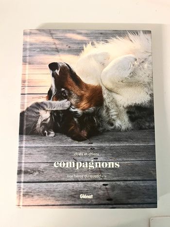 Livres Chats et chiens nos héros du quotidien