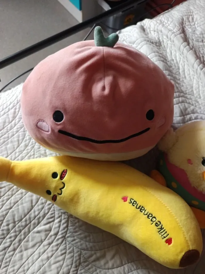 Peluches - photo numéro 2