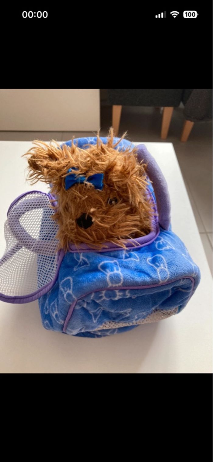 Petit chien modèle décoiffé et son panier/sac de transport - photo numéro 3