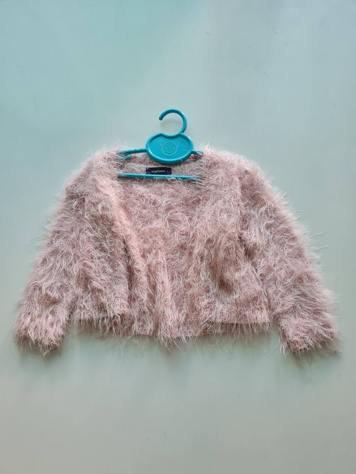 gilet fille 2 ans - photo numéro 1
