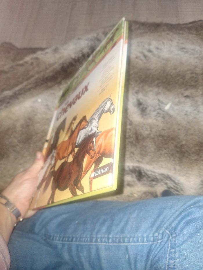 Livres les chevaux - photo numéro 4