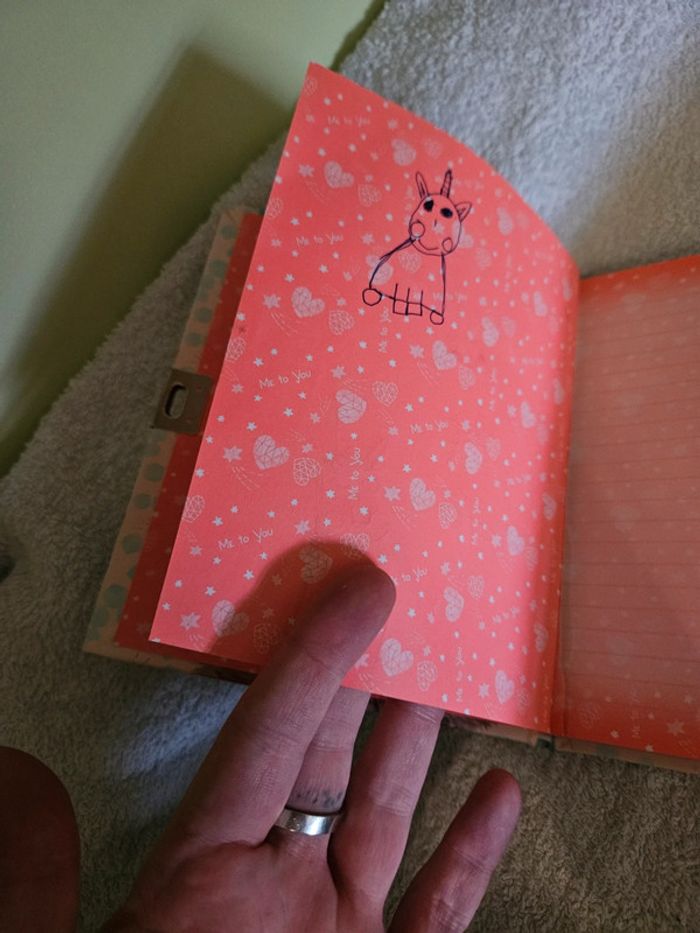 Mon carnet secret - photo numéro 5