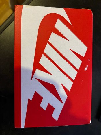 Nike dunk low ( grise) 