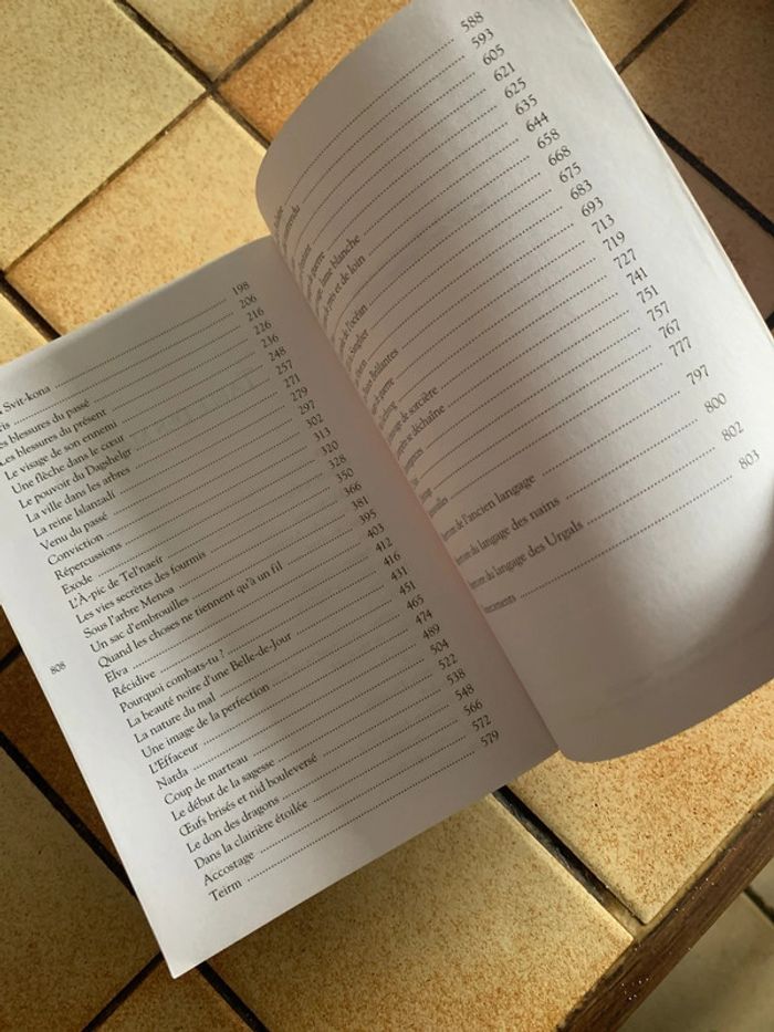 L aîné - photo numéro 8