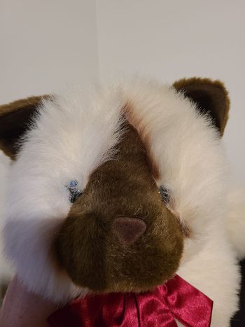 Peluche vintage des années 90 chat siamois  créations douces pour le Commonwealth Toys R Us • Kitty