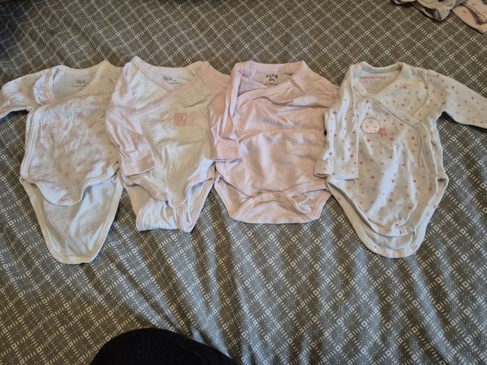 Lot 4 bodies