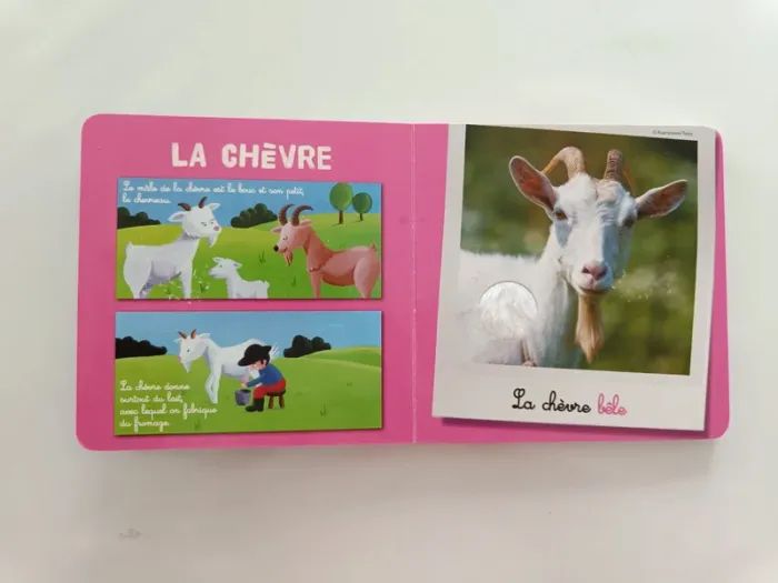 Dans l'étable et la bergerie - photo numéro 3