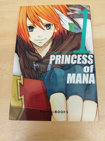 Satsuki Yoshino

PRINCESS of MANA