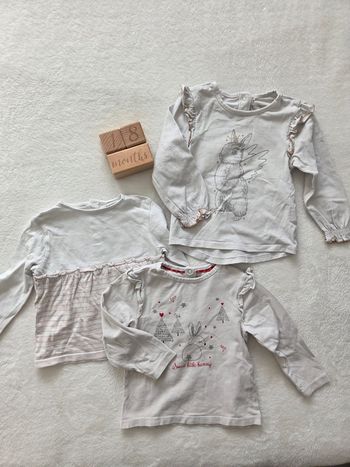 Lot t-shirts ml