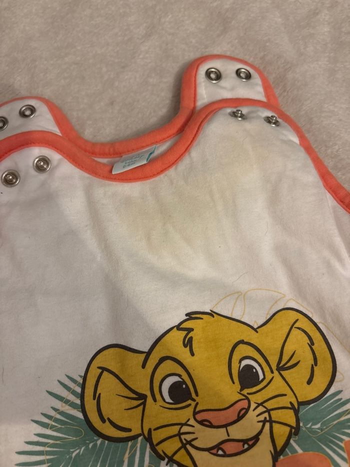 Gigoteuse - photo numéro 2