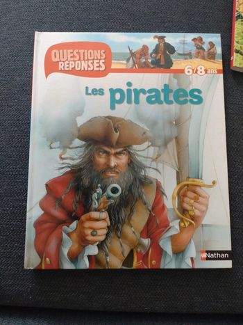 Les pirates questions réponses