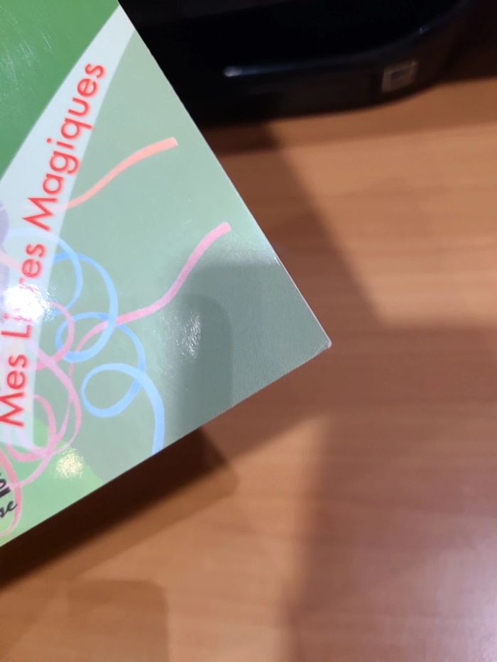 Cache cache avec le carnaval - photo numéro 3