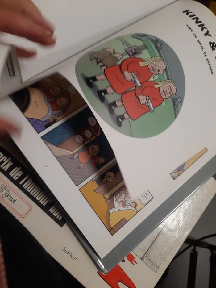 Bd dessin livre particulier - photo numéro 5