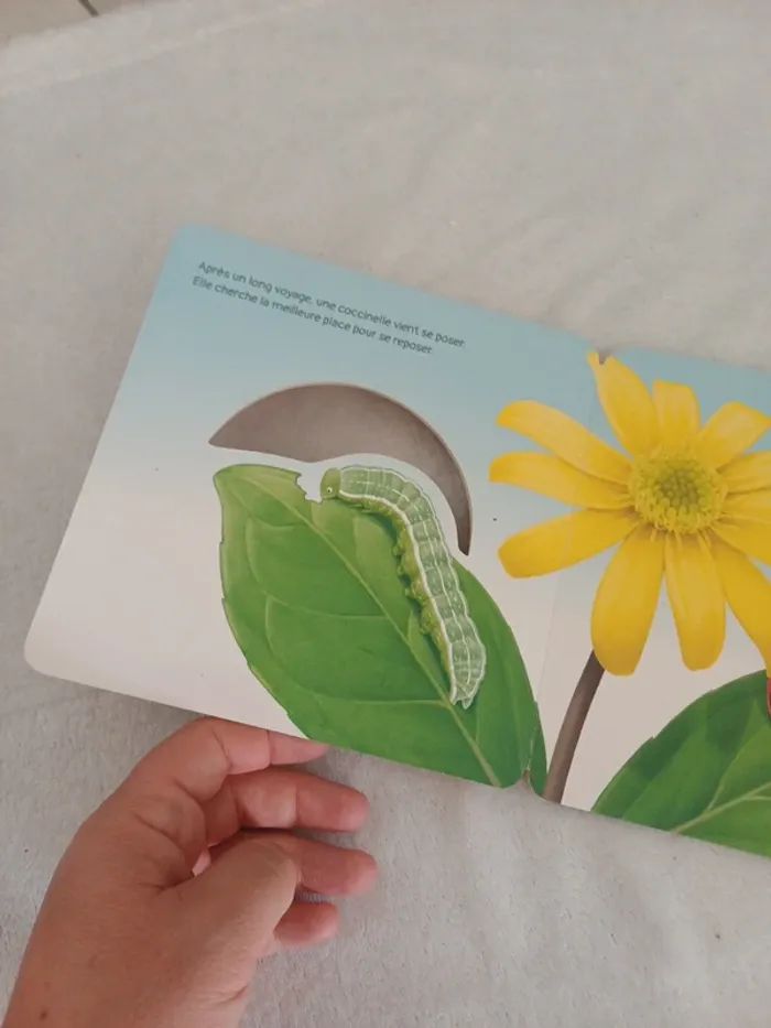 Livre la coccinelle đ - photo numĂ©ro 2