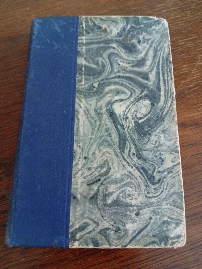 Mémoires d'un dingo - photo numéro 2