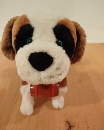 Saint Bernard interactif Billy