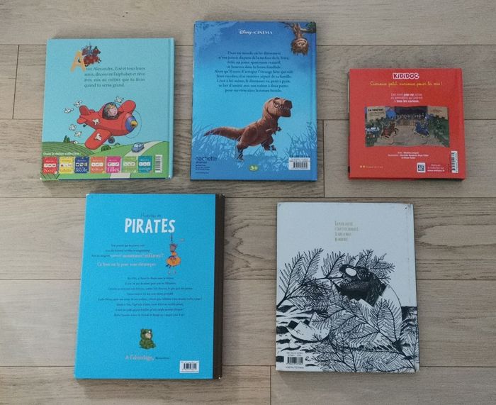 Kididoc Les châteaux forts , le voyage d'Arlo, Histoires de pirates et autres - photo numéro 2