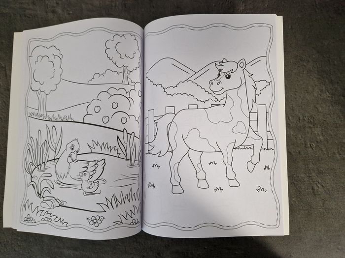 Livre de coloriage - photo numéro 5