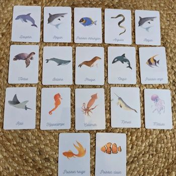 Cartes de nomenclatures animaux marins